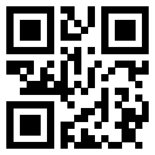 Il Qr Code di 3913160035