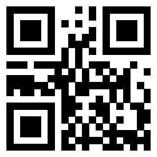 Il Qr Code di 3913160053