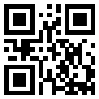 3913160063 - Immagine del QrCode associato
