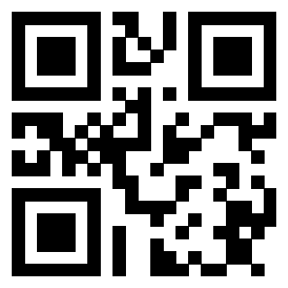 Il Qr Code di 3913160088