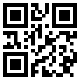 QrCode di 3913160091