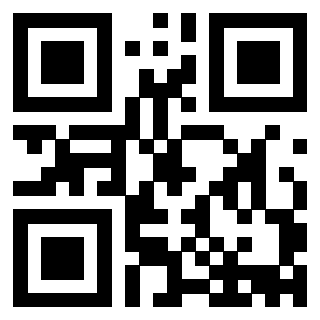 Il Qr Code di 3913160156
