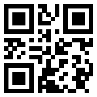 Il Qr Code di 3913160228