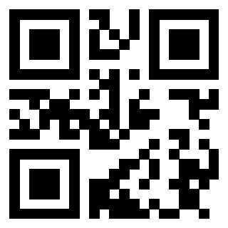 QrCode di 3913160311