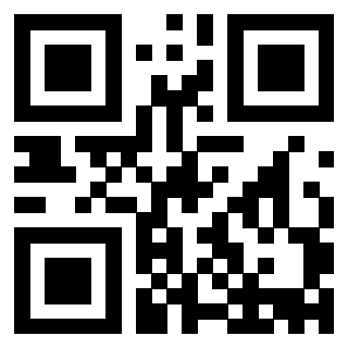 Il Qr Code di 3913160467