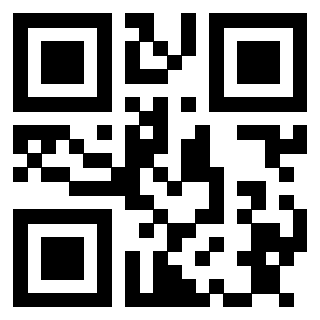 Il Qr Code di 3913160494