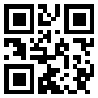 3913160506 QrCode associato