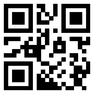 Il Qr Code di 3913160530