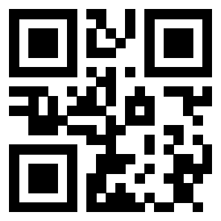 3913160536 QrCode associato