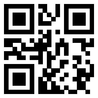 Il Qr Code di 3913160558