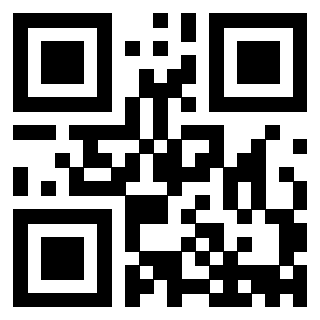 Il Qr Code di 3913160585
