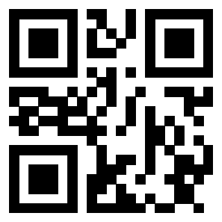 Il Qr Code di 3913162307