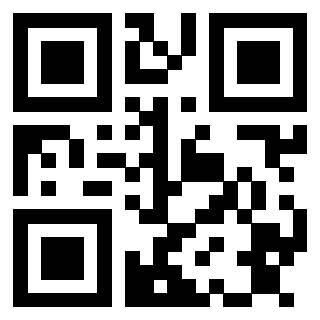 Il Qr Code di 3913162354