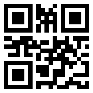 Il Qr Code di 3913162355