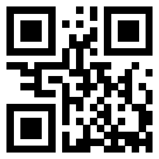 Il Qr Code di 3913162371