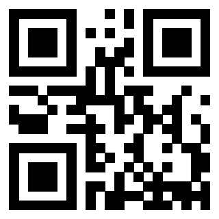 Il Qr Code di 3913162376