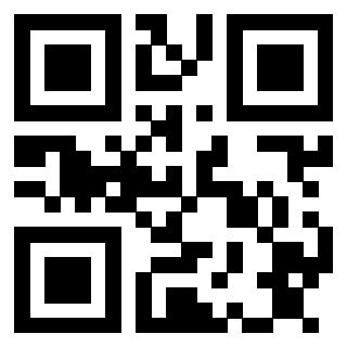 QrCode di 3913162413