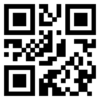 Il Qr Code di 3913162441