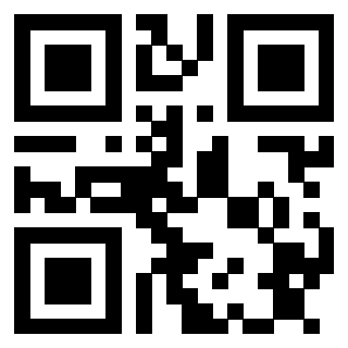 Il Qr Code di 3913162452