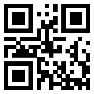 Il Qr Code di 3913162459