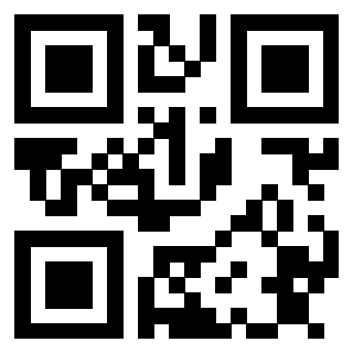 Il Qr Code di 3913162460