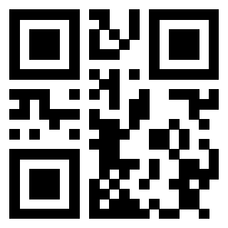 Il Qr Code di 3913162473