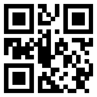 3913162506 Qr Code associato