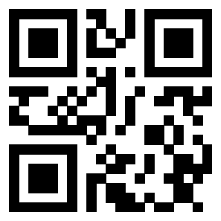 Il Qr Code di 3913162653