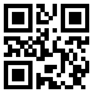 Il Qr Code di 3913162677