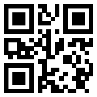 Il Qr Code di 3913162702