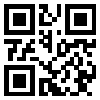 Il Qr Code di 3913162751