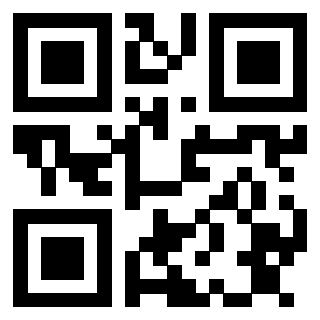 Il Qr Code di 3913162881