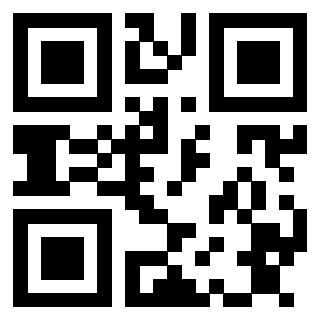 Il Qr Code di 3913162956