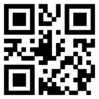 Il Qr Code di 3913162968