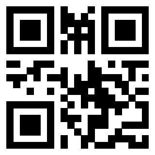 Il Qr Code di 3913163207