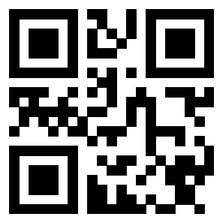 Il Qr Code di 3913233566