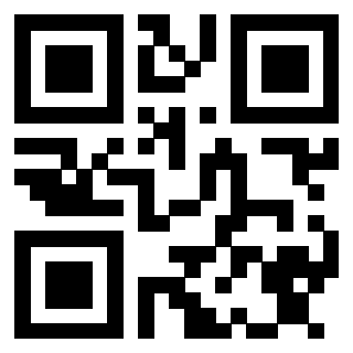 Il Qr Code di 3913233569