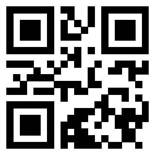 Il Qr Code di 3913233625