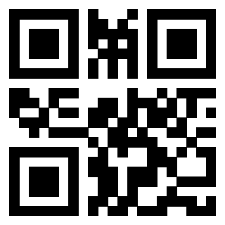 Il Qr Code di 3913233675