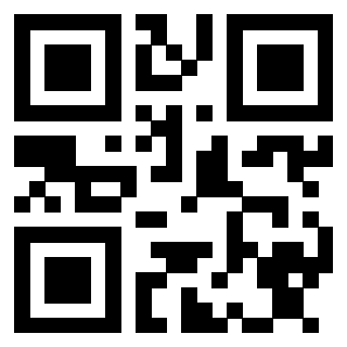 Il Qr Code di 3913233717