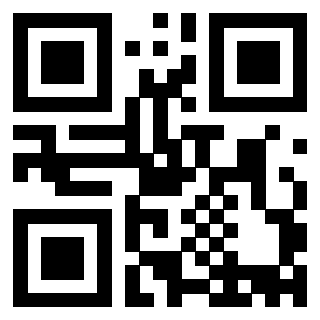Il Qr Code di 3913233990