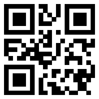 Il Qr Code di 3913234033
