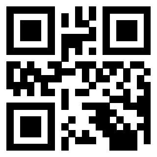 QrCode di 3913234067
