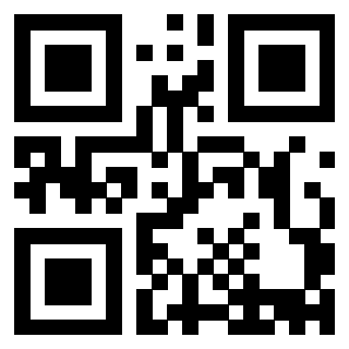 3913234128 QrCode associato