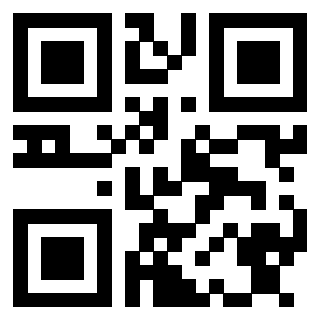 3913234238 QrCode associato