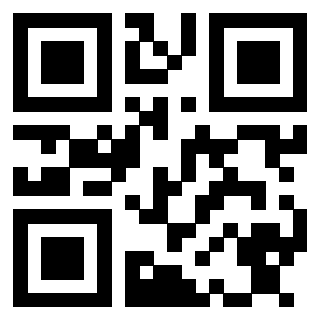 Il Qr Code di 3913234298