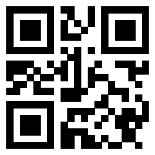 3913234334 - Immagine del Qr Code associato