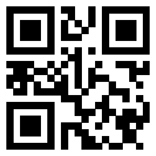 3913234335 QrCode associato