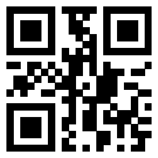 Il Qr Code di 3913234372