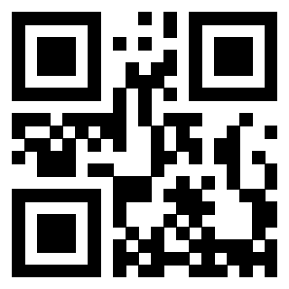 3913234383 QrCode associato